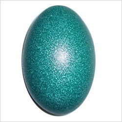 Emu Egg
