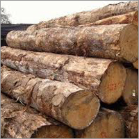 Pine Wood Sawn Timber