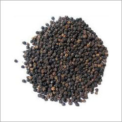 Black Pepper