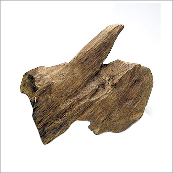 Agarwood Essential Oil