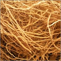 Khus Root Aromatics Oil