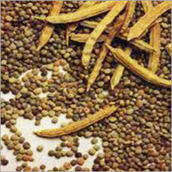 Guar Seed