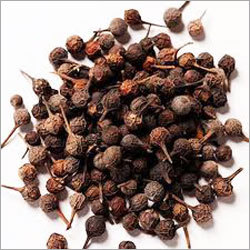 Pepper