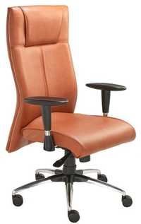 Funky Executive Chair