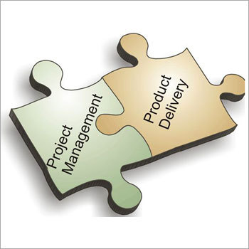 Project Management - Agile/Waterfall, $10k-$1M+, 1-36 Months, Jira/MS Project, Risk Management, Training & Support