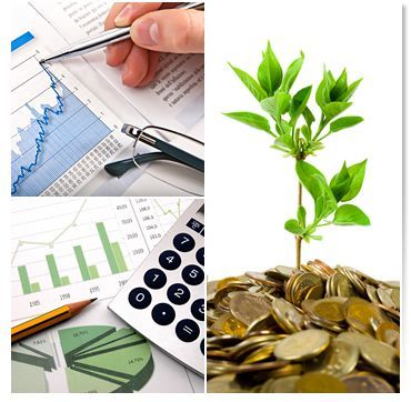 Financial Consultant