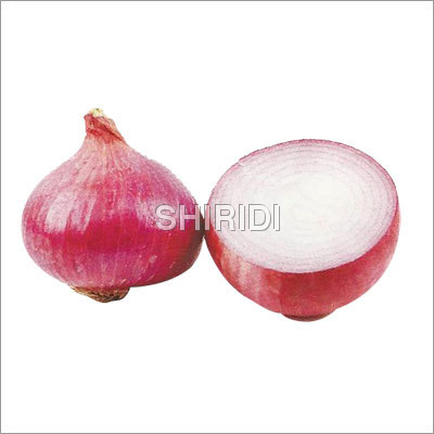 Onion