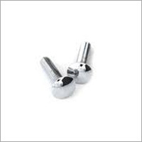 Stainless Steel Carriage Bolts