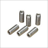 SS Grub Screw