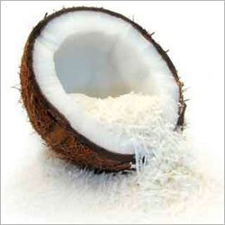 Dried Coconut Milk Power
