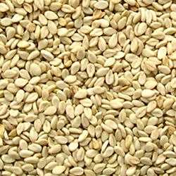 White Seasame Seeds