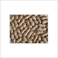 Groundnuts