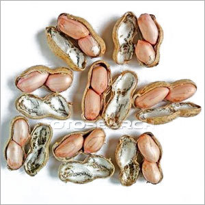 Grountnuts