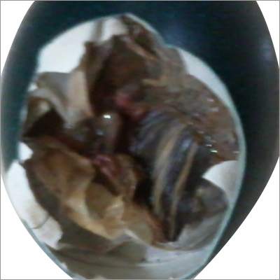 EMU Egg Shell Nail