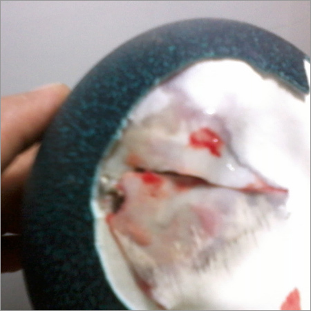 Egg Nail