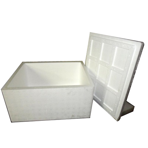 Thermocol Ice Boxes By DIVYA PACKAGING