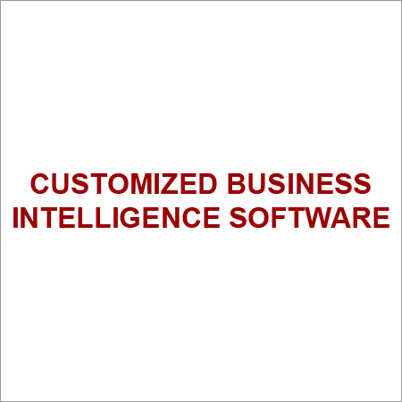 Customized Business Intelligence Software