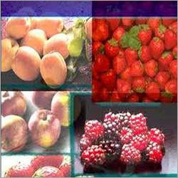 Processed Fruits