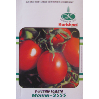 Hybrid Tomato Seeds