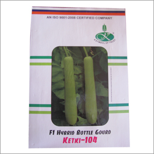 Hybrid Bottle Gourd