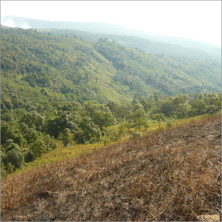 Mineral Investigations & Core Drilling