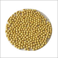 Soybean Seed