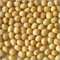 Agro Soybean Seed