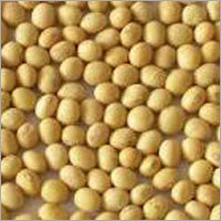 Organic Soybeans