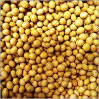 Soyabean Seeds