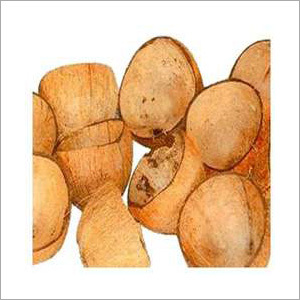 Coconut Shells