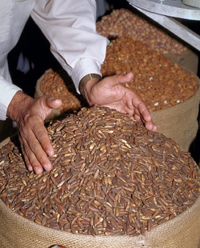 Pine Nuts