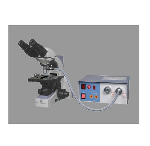 Fluorescent Microscope