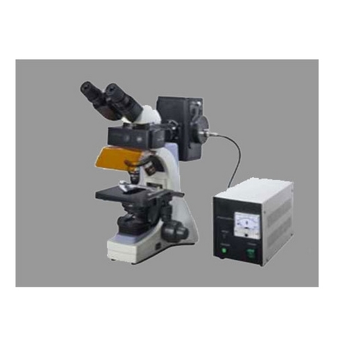 Fluorescent Microscope 