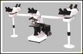 Penta Head Multiviewing Microscope