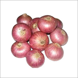 Big Onion