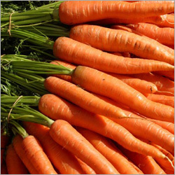 Fresh Carrot