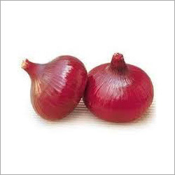 Onion