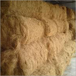 Coconut Coir