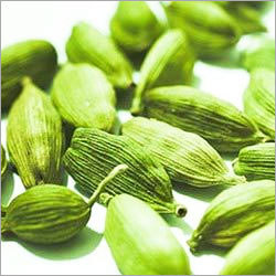 Green Cardamom Seeds - Green Varied Sizes | Aromatic Flavor Taste Enhancer Low Moisture