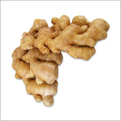 Yellow Ginger