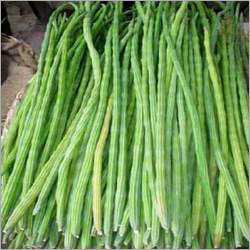 Green Drum Stick - 5cm Green, Organic | Fresh, Mature, Nutritious, Tasty by Zee Trader Co