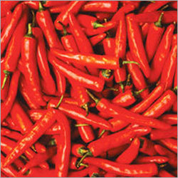 Red Chilli - 5cm Red, Full Part | Fresh, Spicy, SGS Certified, Common Cultivation, Matured