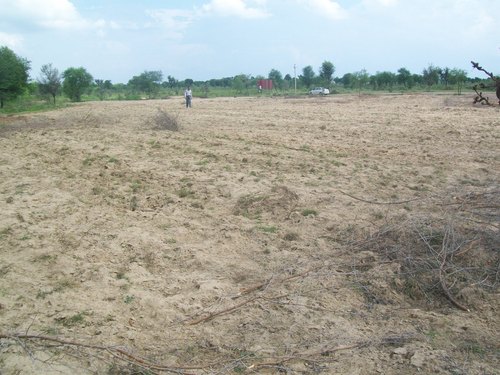 Industrial Real Estate Development Services
