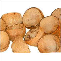 Coconut Shell