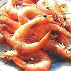 Sea Foods