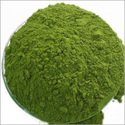 Moringa Powder