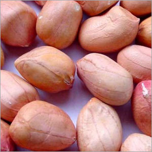Ground Nuts