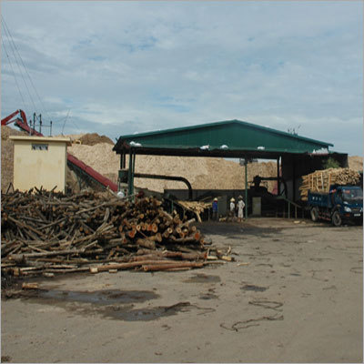 Eucalyptus Wood Chips
