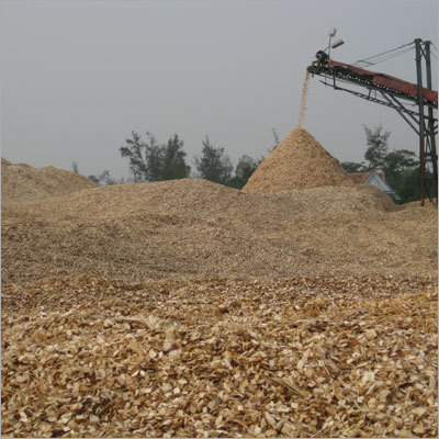 Eucalyptus Wood Chip