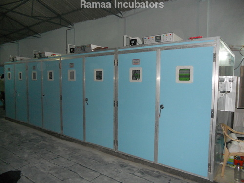 Poultry Incubators